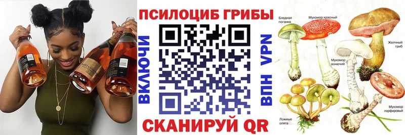 даркнет сайт  Лобня  дарк нет формула  Псилоцибиновые грибы ЛСД 